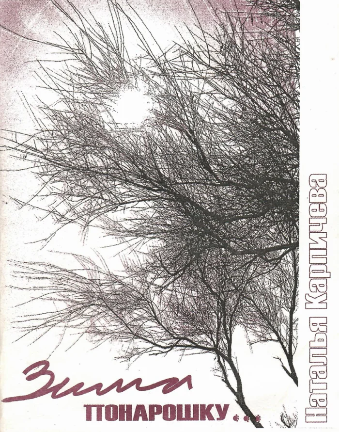 Обложка книги Зима понарошку